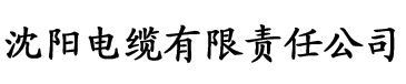 欧美激情中文字幕电缆厂logo